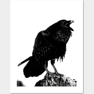 Raven #2 Posters and Art